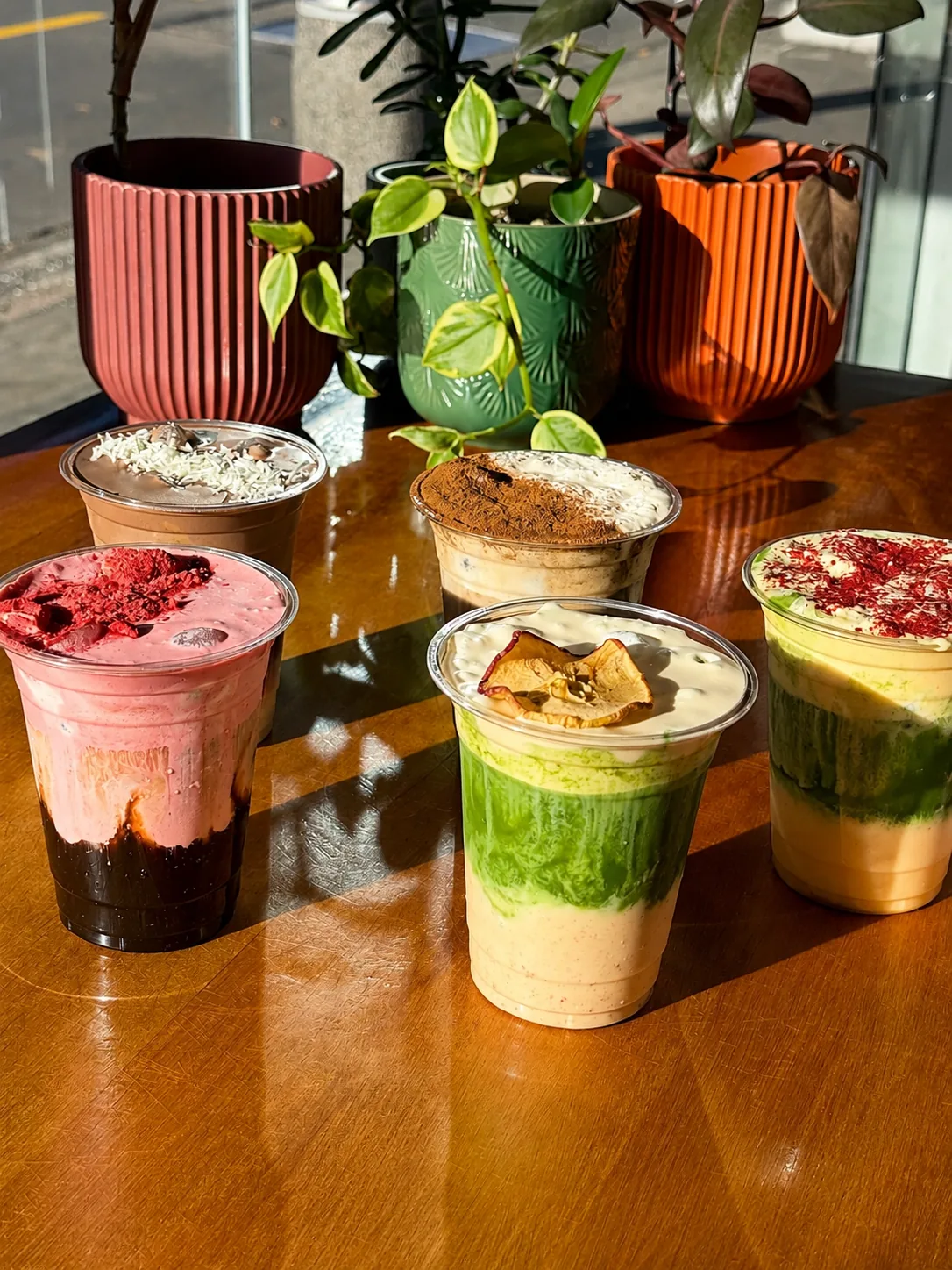 Five colourful iced drinks beside the café's plants